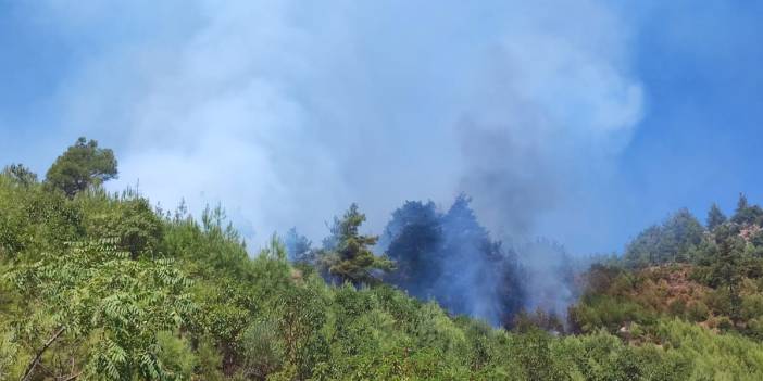 Adana Feke'de orman yangını kontrol altında