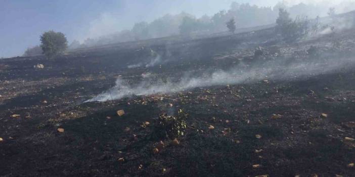 Diyarbakır'daki yangın 10 saat sonra kontrol altında