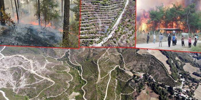 Ağır bilanço 3 yıl sonra ortaya çıktı! 44 saat yandı, 40 yıl sonra eski haline dönecek