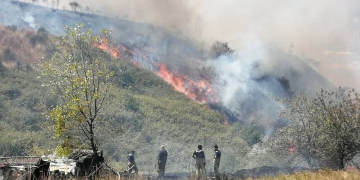 İstanbul'da orman yangını: Alevler binalara yaklaşıyor