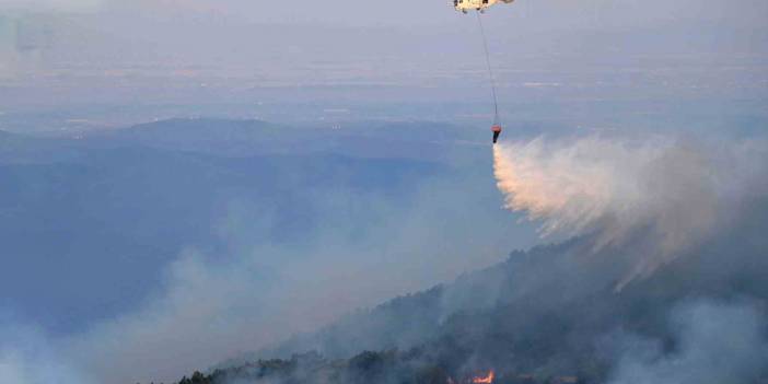 Yunanistan 11 gündür alevlerle savaşıyor: New York büyüklüğünde bir alan kül oldu