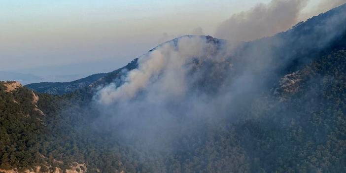 İzmir Kemalpaşa'daki orman yangını kontrol altına alındı