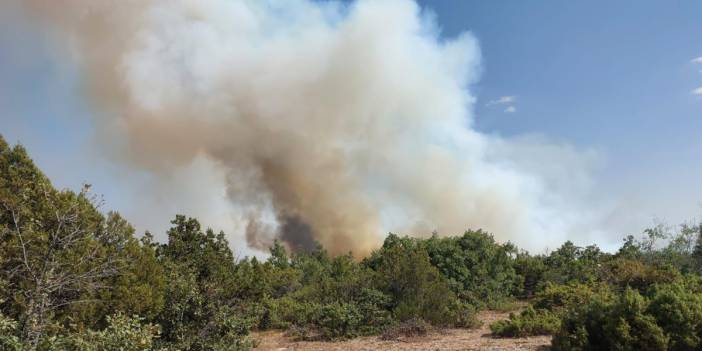 Kütahya'da orman yangını