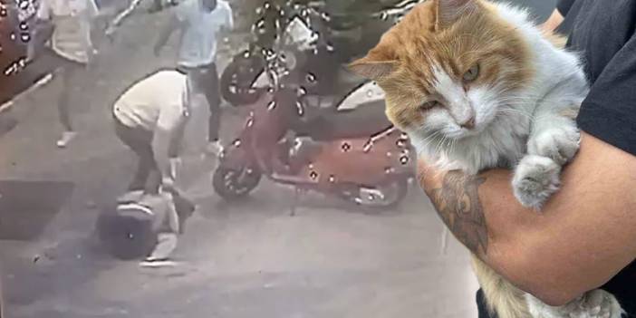 Hayvana karşı şiddete seyirci kalmadı: Saldırgana meydan dayağı