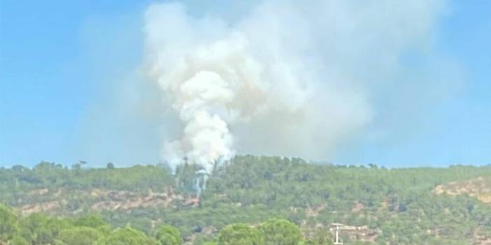 Muğla'da orman yangını: 1 hektar alan zarar gördü