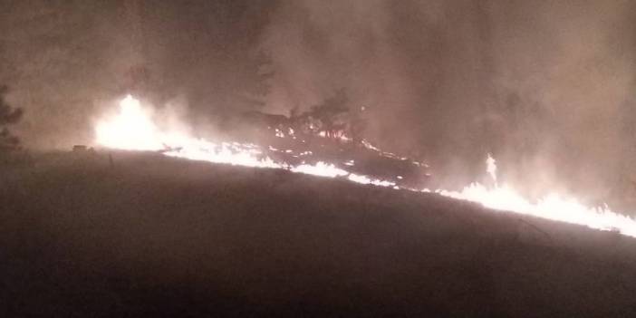 Muğla'da orman yangını: Gece saatlerinde başlayan yangın kontrol altında