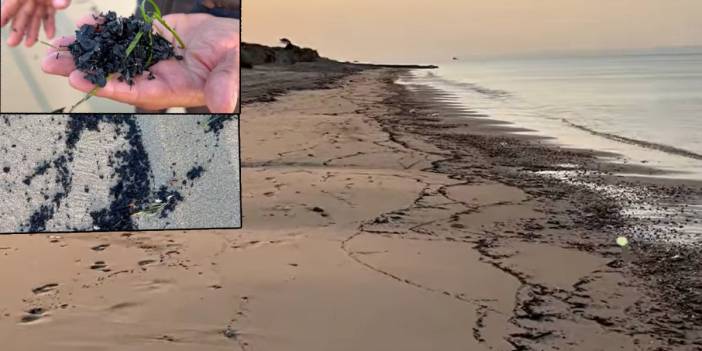 Çanakkale'deki büyük yangının izi Edirne'de: Kıyı şeridi küllerle kaplandı