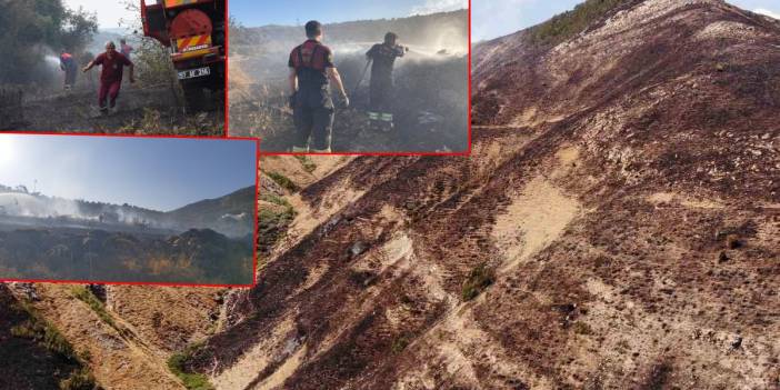 Yangınlar bitmek bilmiyor... 5 ilde alevler yükseldi