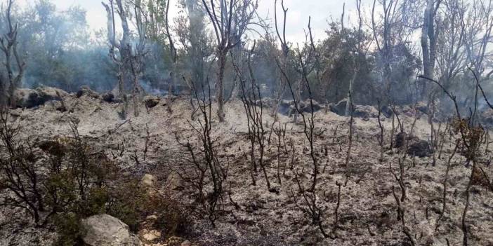 Bahçe temizliği yaparken orman yangınına neden oldu