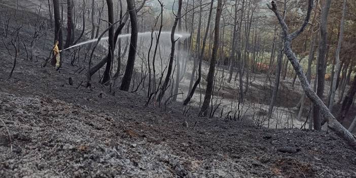 17 saat sonra güzel haber: Bursa'daki orman yangını kontrol altında