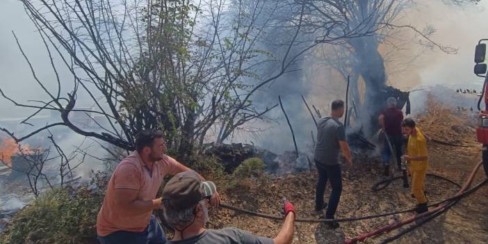 Ormanlar her gün yanıyor... 5 ilde alevler yükseldi