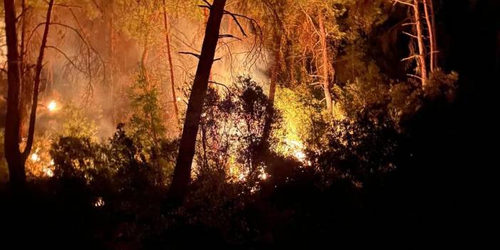 Adana'da orman yangını