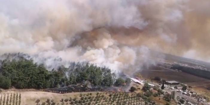 İzmir'de orman yangını: Havalimanı uçuşlara kapatıldı