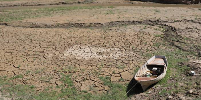 Türkiye büyük risk altında: Sulak alanların yüzde 40'ını kaybettik