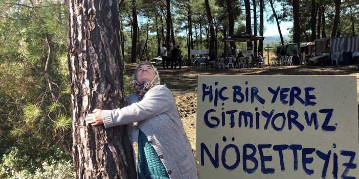 Akbelen'de direniş sürüyor: Valilikten ağaç kesileceği iddialarına yalanlama