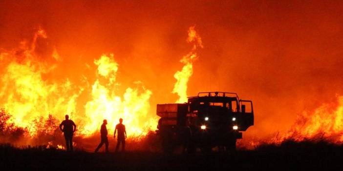 Son 8 ayda 114 orman yangını: Çanakkale’de 4 bin hektar alan kül oldu