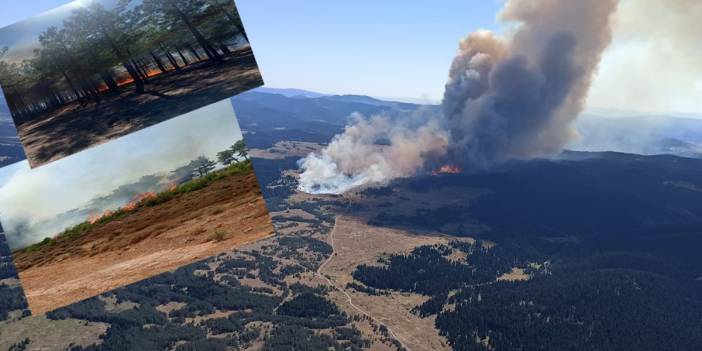 Dört ilde orman yangını: Havadan ve karadan müdahale sürüyor