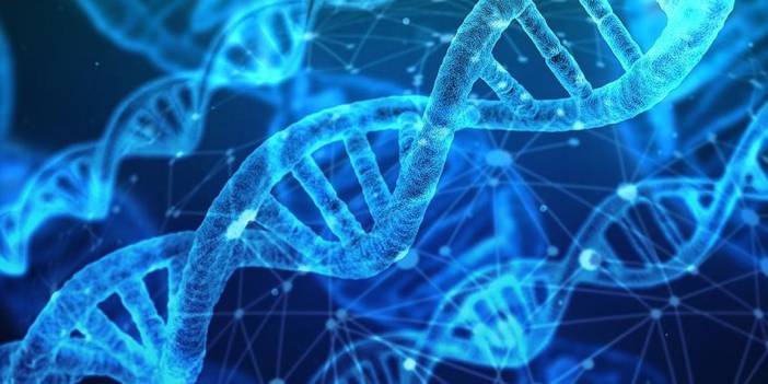 Google artık DNA'yı da araştıracak: Hastalığa yol açan genleri tanımladı