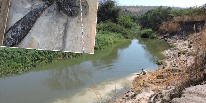 İnsanlığın ilk dönemine ait! Dünyanın en eski ahşap yapısı keşfedildi