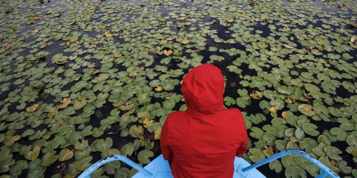Tabloları aratmıyor: Beyşehir Gölü'ne ziyaretçi akını