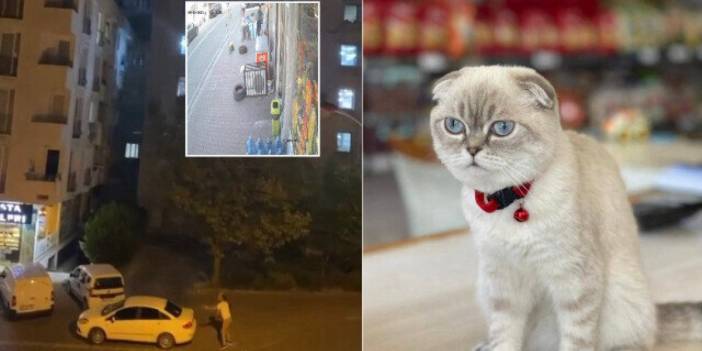 Esenyurt'ta kedi için silahlı çatışma: Yoldan geçen kurye vuruldu