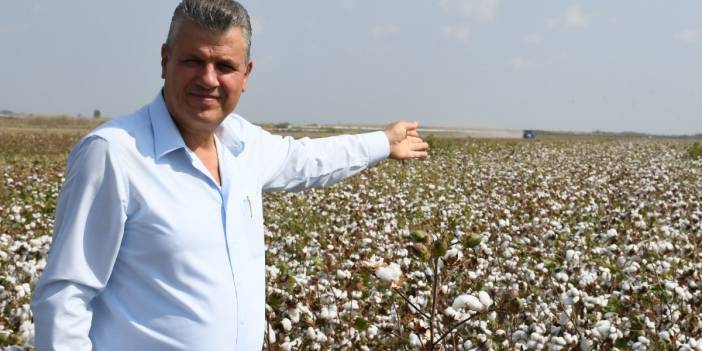 CHP'li Barut'tan artan pamuk fiyatlarına tepki: Üreticinin ocağını söndürmeyin