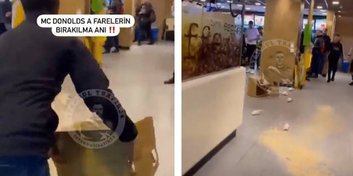 İstanbul'daki McDonald's'a fareli 'İsrail' protestosu: Müslümanların etlerini değil, alın bunları yiyin