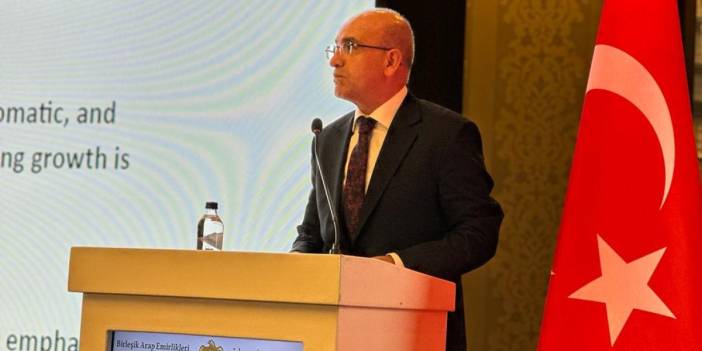 Bakan Şimşek: BAE ile ticaret hacmimizi 25 milyar doların üzerine çıkartacağız