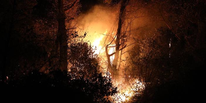 Trabzon'da orman yangını: 100 dönüm alan zarar gördü