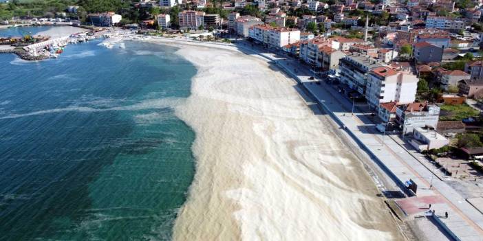 Uzmanından Marmara Denizi uyarısı: Oksijen azaldı, istilacı türler arttı