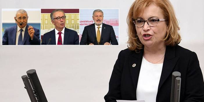 İYİ Parti'de yaprak dökümü sürüyor: Ayşe Sibel Yanıkömeroğlu da istifa etti