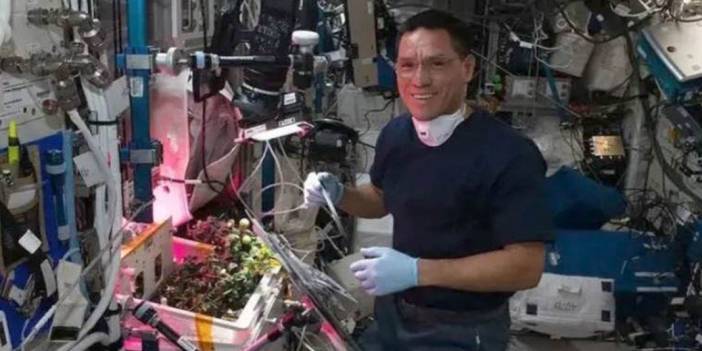 Astronot suçlanmıştı: Uzayda kaybolan domates aylar sonra bulundu