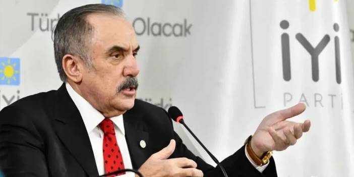 İYİ Parti'de istifa üzerine istifa: Ensarioğlu disipline sevk edilmişti