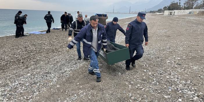 Antalya sahillerinde neler oluyor: Son bir ayda dokuzuncu ceset
