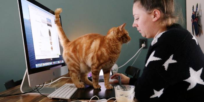 Uzaktan çalışanlar yalnız, üzgün ve öfkeli hissediyor! Herkes avantajlı zannediyordu ama bunları kimse söylemedi