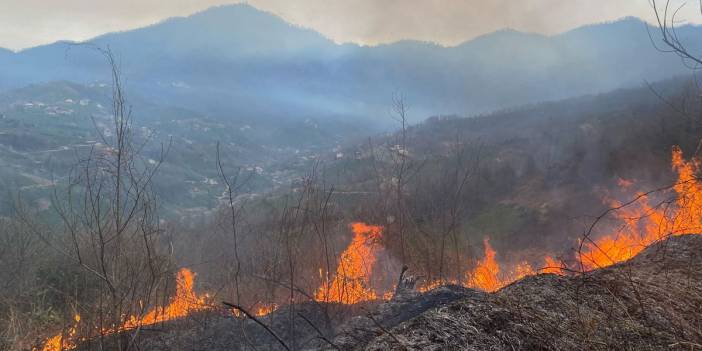 Artvin'de orman yangını: 1 hektarlık alan kullanılamaz hale geldi