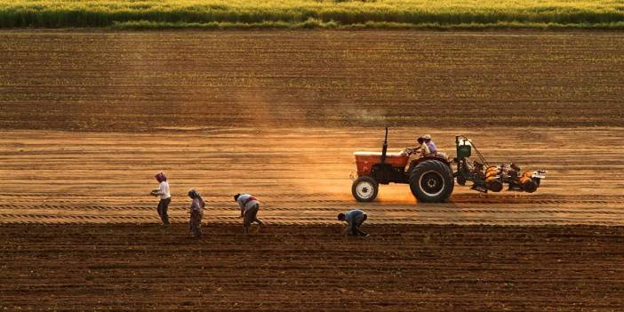 TÜİK açıkladı: Tarım enflasyonu yıllık yüzde 60,77 arttı