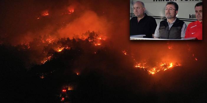 Çanakkale’de orman alevlere teslim! 300 hektarlık alan kül oldu