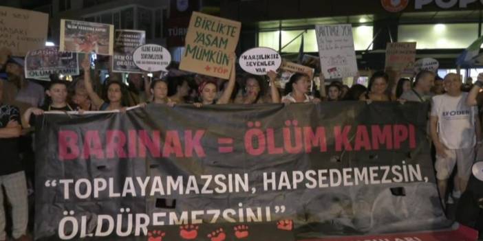 Hayvan hakları savunucularından 'sokak hayvanları' protestosu: Toplayamazsın, hapsedemezsin, öldüremezsin