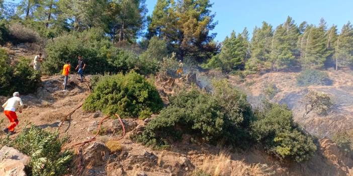 Hatay'da orman yangını