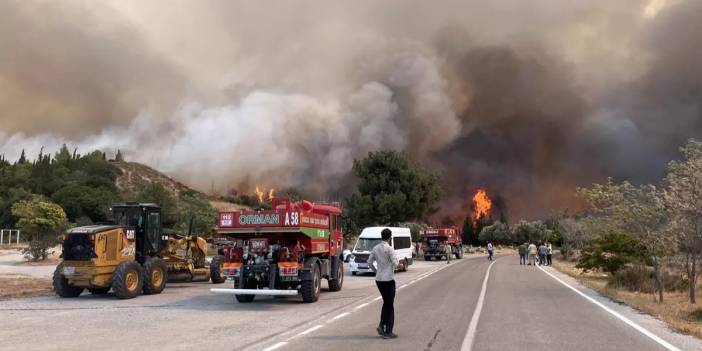 Çanakkale'de orman yangını: Ekipler hem havadan hem karadan müdahale ediyor