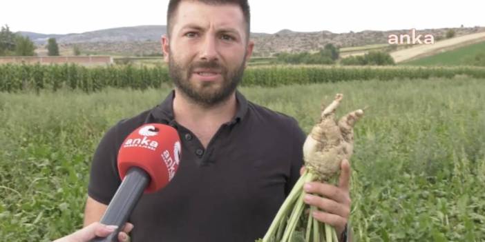 Kastamonulu çiftçiler kan ağlıyor: 'Böyle devam ederse çiftçi kalmayacak'