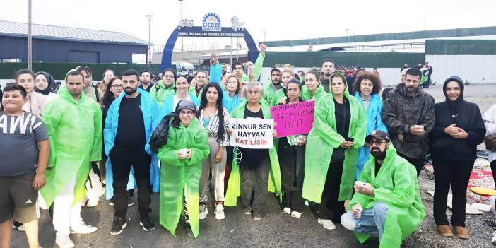 Hayvanseverler Gebze Belediyesi barınağı önünde nöbette: Sorumlular hesap verene kadar burdayız