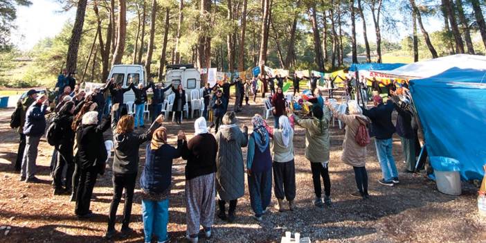 Ağaç nöbeti 'ormanı işgal'miş