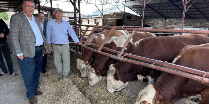 CHP'li Gürer, 'hayvanlardan bulaşan hastalıkları' Sağlık Bakanı'na sordu: 'Zoonotik hastalıklara ilişkin vaka sayısı 50 bin'