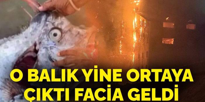 Kıyamet balığı yine ortaya çıktı Kartalkaya faciası geldi! Felaketler zinciri devam ediyor mu?