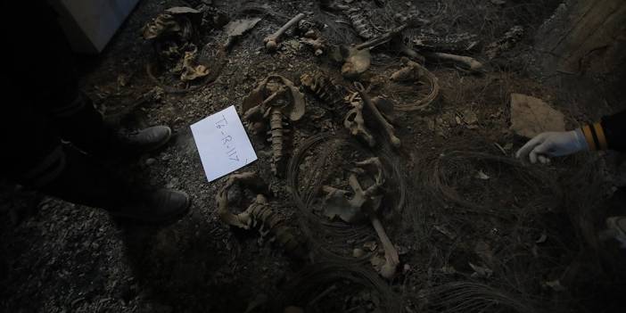 Suriye'de bir toplu mezar daha: Esad rejimi tarafından öldürülen sivillere ait olduğu düşünülüyor