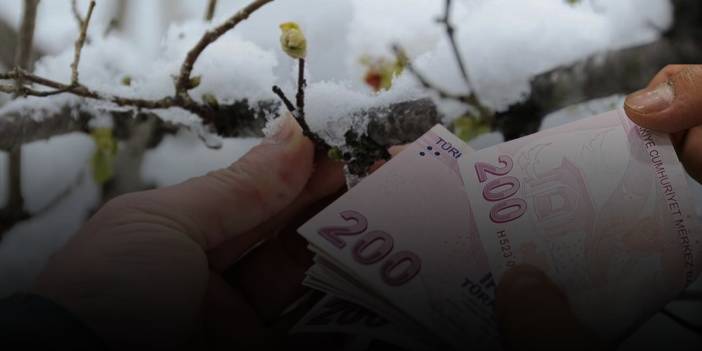 Havalar soğudu, tarım ürünleri zarar gördü! Zirai don sebze ve meyveleri vurdu: Yüzde 50 zam yola çıktı