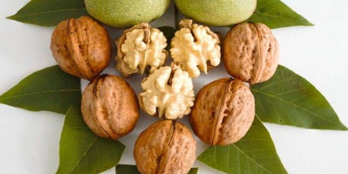 Sapanca'nın cevizi tescillendi! Üreticinin geliri artacak: Coğrafi işaret verildi