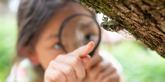 O kentimizde heyecanlandıran keşif: Böcek literatürüne girdi! Bakın hangi Türk ismini koydular...